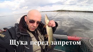 ЛОВЛЯ ЩУКИ ПО ТОЧКАМ В ЭХОЛОТЕ.