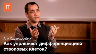 Биоинженерия стволовых клеток - Али Хадемхосейни