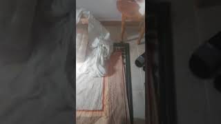 خروج  الجن ميمون الطيار العاشق بإذن الله تعالى
