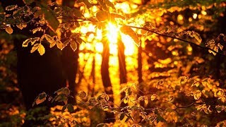 АХ, КАК ХОЧЕТСЯ ПРОСТО ЖИТЬ...
