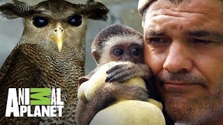 Los animales salvados por Frank Cuesta | Wild Frank: Al rescate | Animal Planet