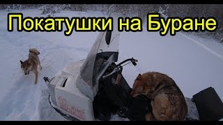 Покатушки на Буране. Автол из Лукойла. Катаю собаку.