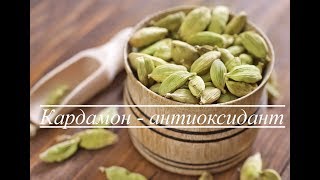 Кардамон