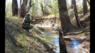 ОТКУДА В РУЧЬЕ СТОЛЬКО !!НАДО ЖЕ ТАК ПОПАСТЬ!! Рыбалка 2019 fishing in the puddles and streams