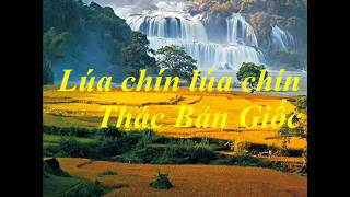 ĐỒNG LÚA VIỆT NAM