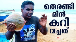 തെരണ്ടി മീൻ കറി വച്ചത് | YUMMY KERALA STINGRAY FISH CURRY RECIPE | SEA FOOD SPECIAL