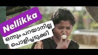 NELLIKKA MALAYALAM MUSICAL ALBUM 2019 A GOOSEBERRY LOVE