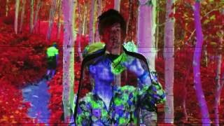 J. Majestic- Where Is My Flow DeeDee?
