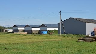КФХ Александра Москвина два года спустя