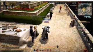 Black Desert Daily Quest routine for 3+ contribution per day