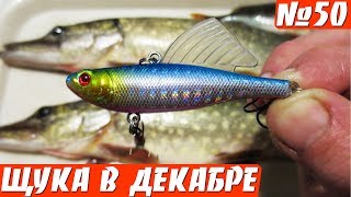 Щуки от него БЕЗ УМА! Я в шоке!