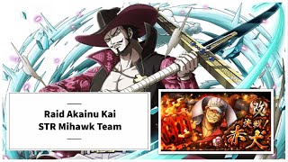 [OPTC] Raid Akainu Kai/Neo | STR Mihawk Team