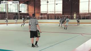 DLAXV Herren Indoor Lacrosse Bundesliga Nord - SG Elbe vs. HABIBI