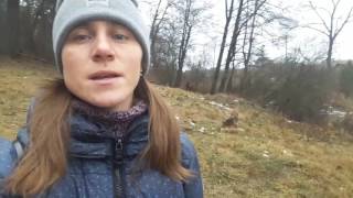 VLOG: Кобель или сука? ПОРАЗИТЕЛЬНО!