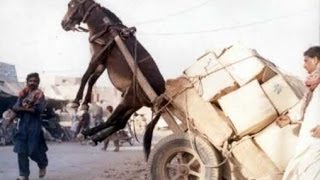 Funny road accidents,Funny Videos, Funny People, Funny Clips, Epic Funny Videos Part 21
