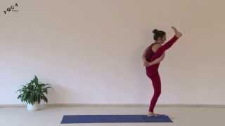 Yoga Sun Salutations With Paradise Bird Variation