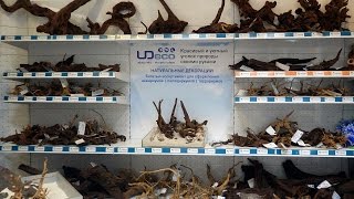 UDeco - Камни и коряги для аквариума в супермаркете Живая Вода в Москве