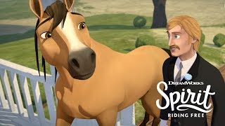 The Wedding Day | SPIRIT RIDING FREE
