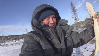 Перволедье в Сибири ноябрь 2018. Рыбачим на балансиры в затопленном лесу !!!