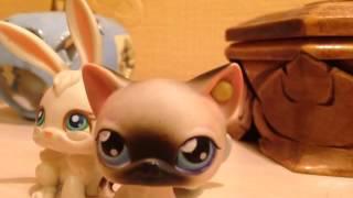 LPS сериал Так модно 1 сезон 4 серия