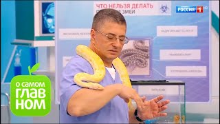 О самом главном: Почему женщины живут дольше мужчин, головокружения, помощь при укусе змеи