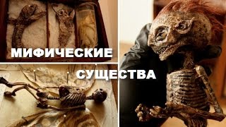Мифические Существа это Новые Формы Жизни! Они Существуют! 17.10.2016