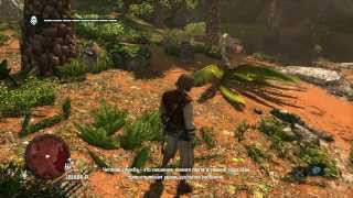 Assassin's Creed 4 Black Flag. Прохождение. Часть 27 (Работаем на мудреца)