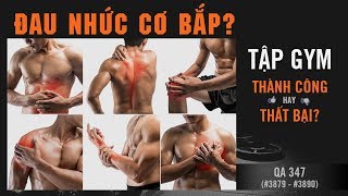QA 347 - Đau nhức cơ bắp? Thành công hay thất bại tập GYM?