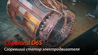 Copeland D6S - Сгоревший статор электродвигателя