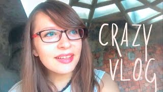 Далат 2016 [Отель Crazy House], уличная галерея, баоцзы, дождь.