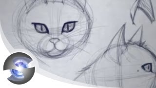 How to Draw a Cat