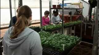 Agro Depo - Javo Standard Saksı Doldurma Makinesi