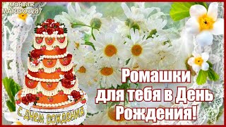 РОМАШКИ В ТВОЙ ДЕНЬ РОЖДЕНИЯ!