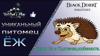 ?Ёжики? в Black Desert online,как работают,что могут и какие они бывают!