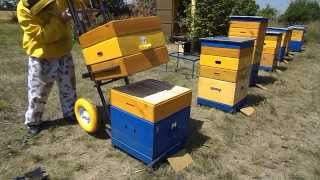 ТЕЛЕЖКА -- ПОМОЩНИК ПЧЕЛОВОДА TROLLEY - ASSISTANT beekeepers