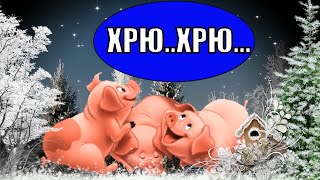 Классное ✔️? Поздравление с Новым годом СВИНЬИ  ?