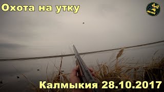 Охота на утку, Калмыкия_часть 1
