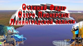 Ловля на фидер осенью. Озеро Пионерское, Выборгский район, Ленинградской области.