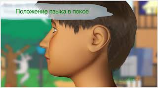 "Миобрейс" - как улучшается лицо