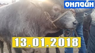 МОЛ БОЗОР НАРХЛАРИ | MOL BOZORI 2018
