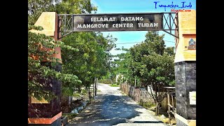Pantai Mangrove Tuban |Bersantai sambil edukasi di Pantai