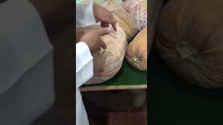 شاهد فائدة اليقطين للانسان