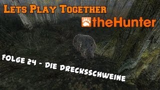 Let's Play Together The Hunter 2013 #24 - Die Drecksschweine