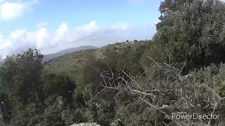 Κυνηγι μπεκατσας με ποιντερ