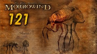Прохождение The Elder Scrolls III: Morrowind - 121. М'Айк Лжец и Золотая марка