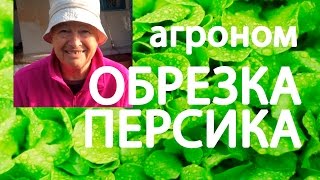 Агроном ОБРЕЗКА ПЕРСИКА ВЕСНОЙ как и когда обрезать