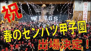 【創成館】第９２回選抜甲子園、九州ブロック代表発表