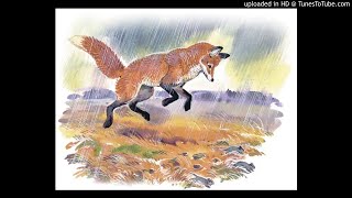 Лиса плясунья и Чья проталина. Н Сладков. Аудио рассказы для детей.