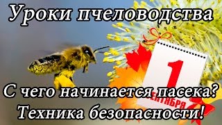 Курсы пчеловода: Выбор пасеки (Система ульев, место, кочевка), Техника безопасности. | Урок 1.