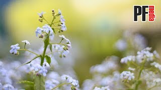 Очень красивая музыка для души!!! Красивая музыка без слов на фортепиано
